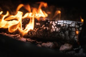 Dinas Damkar Bengkulu Tengah Tangani Pohon Tumbang di SMP Negeri
